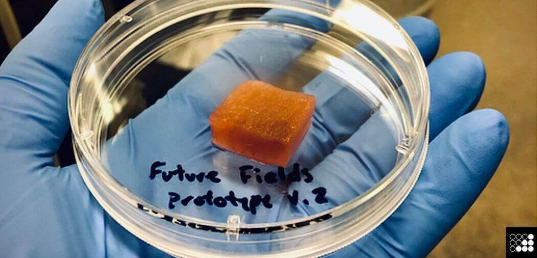 Future Fields